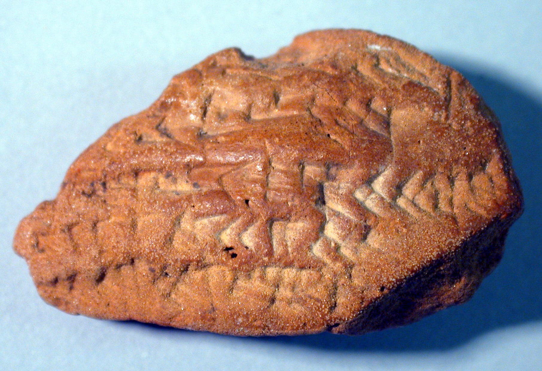 Fragment of a Babylonian clay contract tablet, about 544 BC