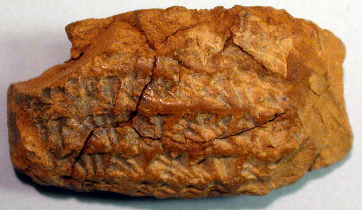 Babylonian clay tablet inscribed with a hire contract, about 544 BC